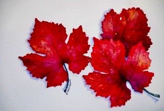 Autumn leaves, Alison Parham, artist, painter, watercolors, water color, nature, leaves, plants, DoonArt Tour, Bonny Doon, Santa Cruz, California
