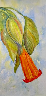 Alison Parham, artist, painter, watercolors, water color, nature, leaves, plants, DoonArt Tour, Bonny Doon, Santa Cruz, California