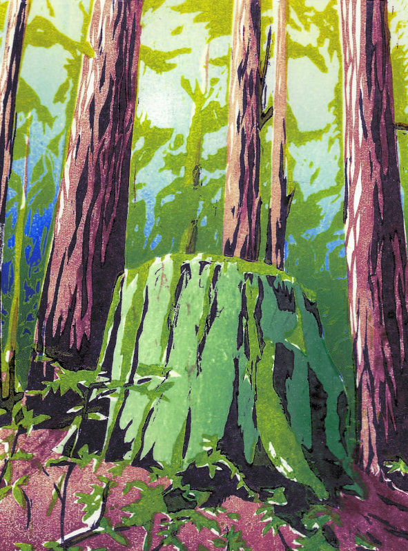 Woodblock print of redwood stump by Kim Fulton-Bennett, Kim Fulton-Bennett, woodcuts, redwoods, trees, landscapes, DoonArt, Bonny Doon Studio Tour
