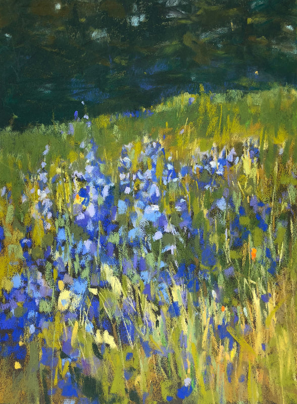 Blooming lupines, Joan Hellenthal, painter, pastels, oils, artist, DoonArt Tour, Bonny Doon, plein air, landscapes, Santa Cruz, California