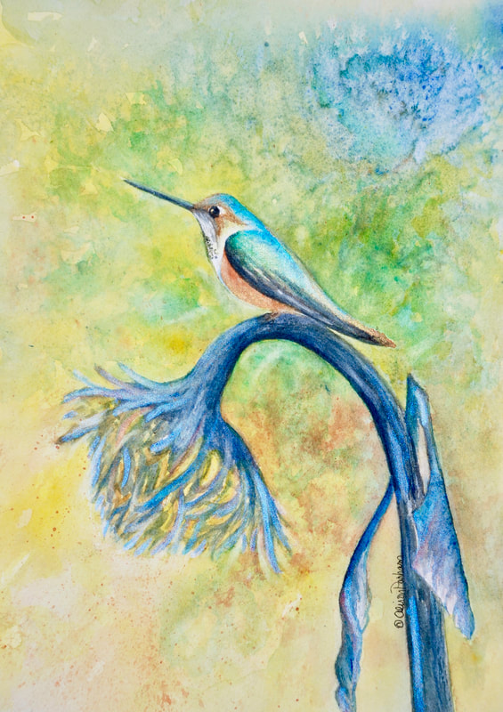 hummingbird, Alison Parham, artist, painter, watercolors, water color, nature, leaves, plants, DoonArt Tour, Bonny Doon, Santa Cruz, California